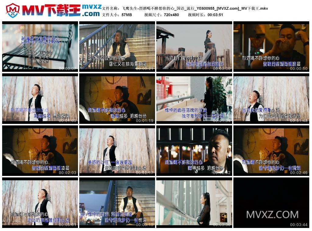 飞鹰先生-烈酒喝不醉想你的心_国语_流行_YE600955